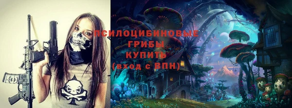 эйфоретик Белокуриха