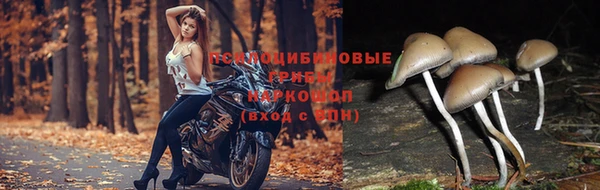 метадон Беломорск