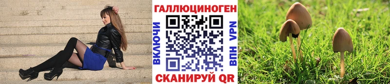 Псилоцибиновые грибы мицелий  дарнет шоп  Плёс 